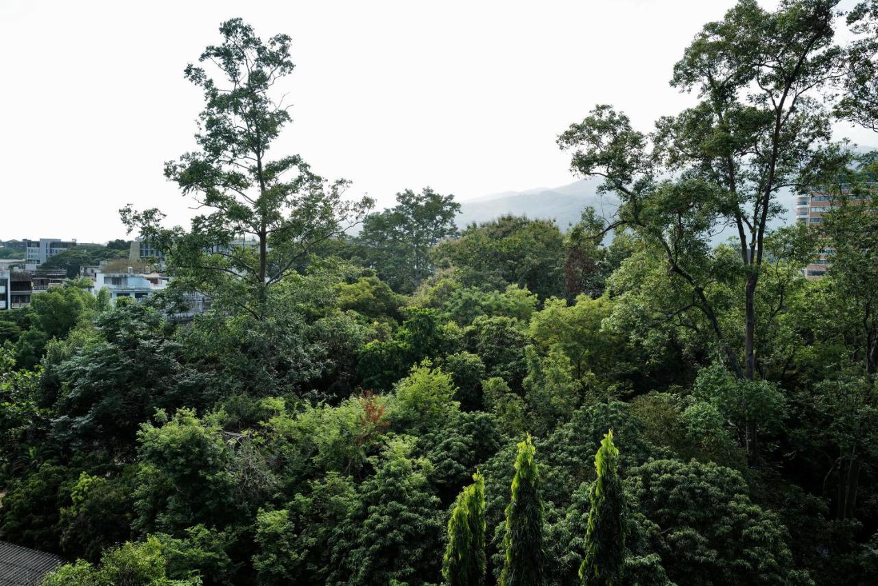 The Cosy Huay Kaew Chiang Mai